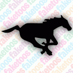 Calgary Stampeders