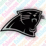 Carolina Panthers