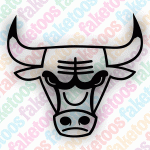 Chicago Bulls