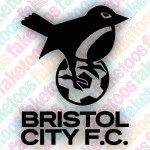 FC Bristol City