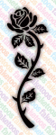 Longstem Rose