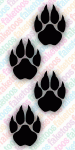 Paw Prints - Cat