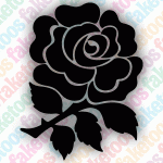 Rugby - England