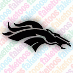 Solid Bronco